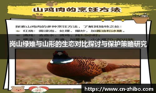 智博体育官网